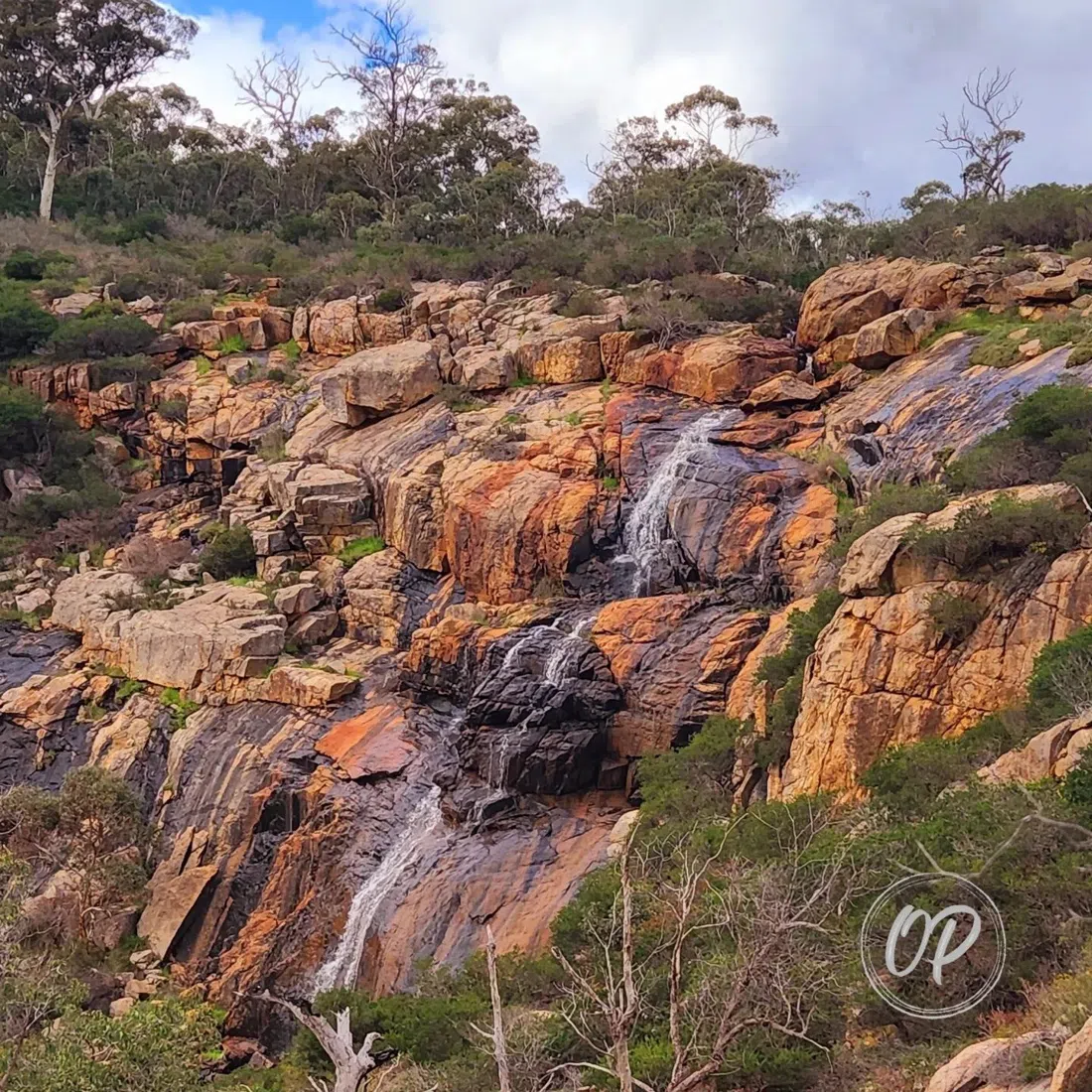 Ellis Brook Valley Reserve, Perth