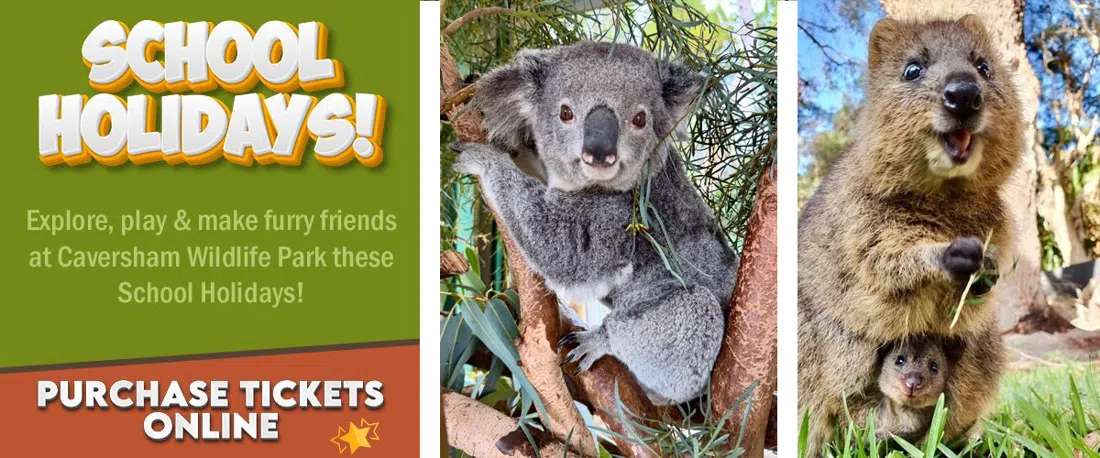 Caversham Wildlife Park, Perth