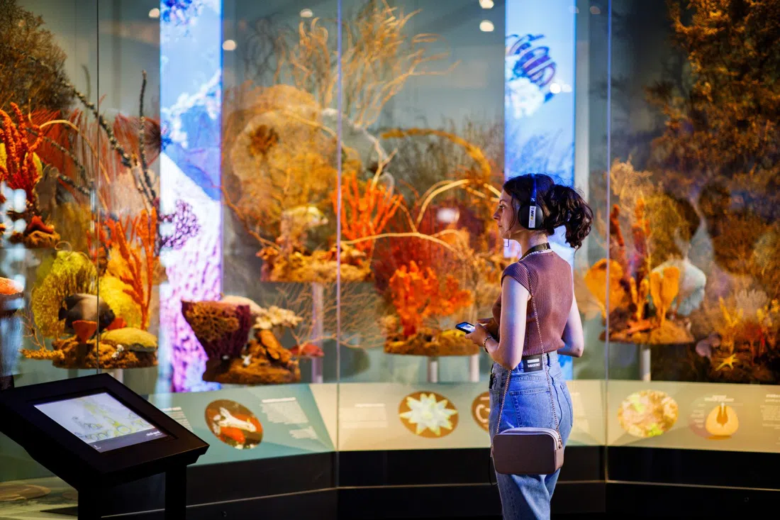 WA Museum Boola Bardip, Perth