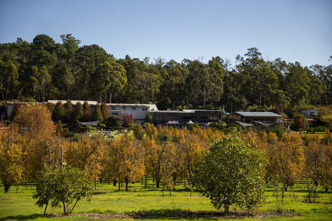 Core Cider, Perth