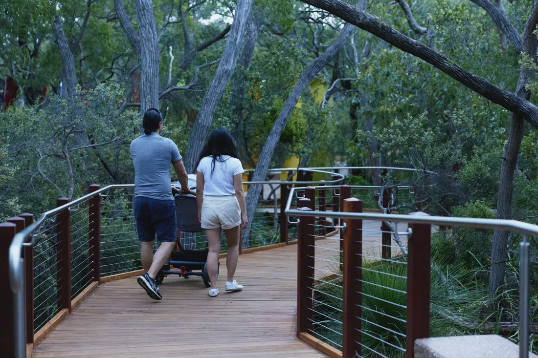 Ngilgi Cave (Ancient Lands Experience), Perth