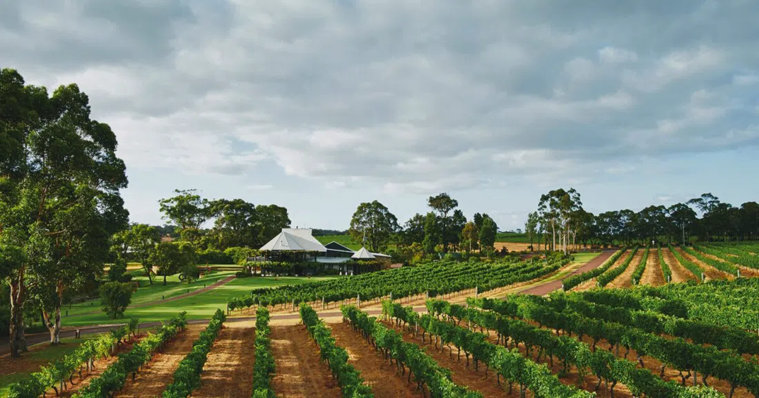 Vasse Felix, Perth