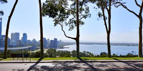 Where Perth Goes Vertical: Kings Park From Canopy to River