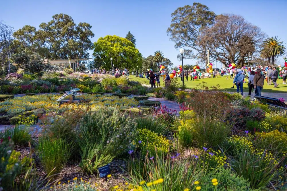 Kings Park und Botanischer Garten (Everlasting Kings Park Festival), Perth