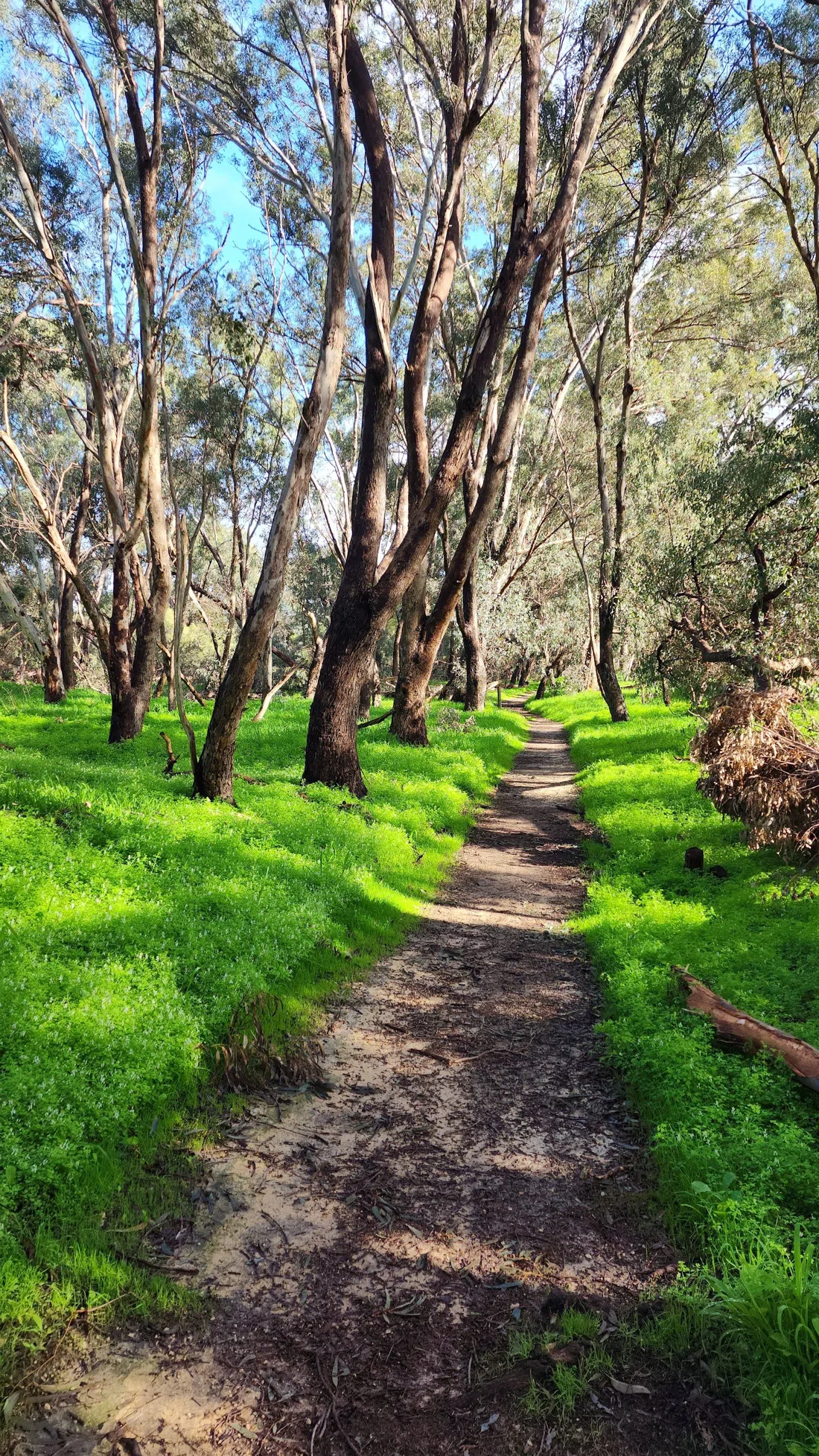 Herdsman Lake Regional Park & Wildlife Centre, Perth