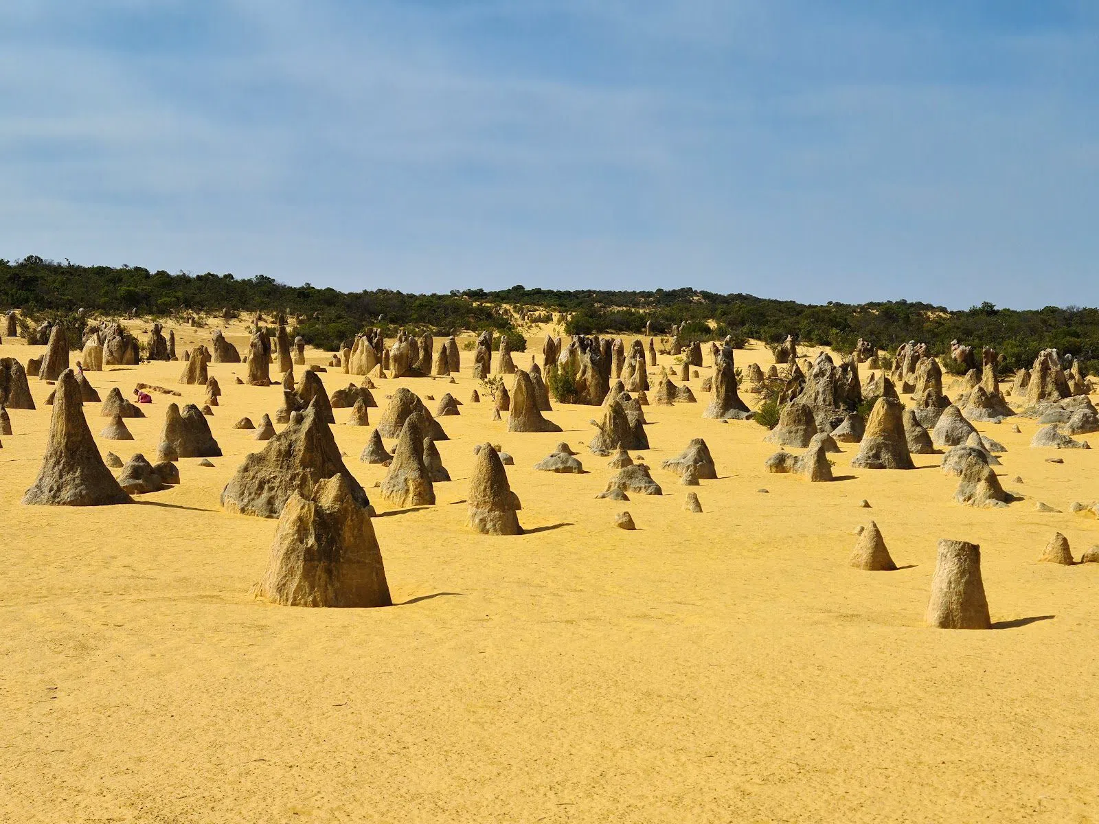 Walking the Pinnacles Desert on a drive north from Perth