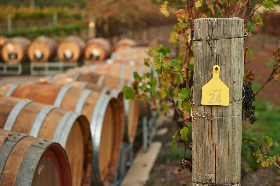 Olive Farm Wines, Perth
