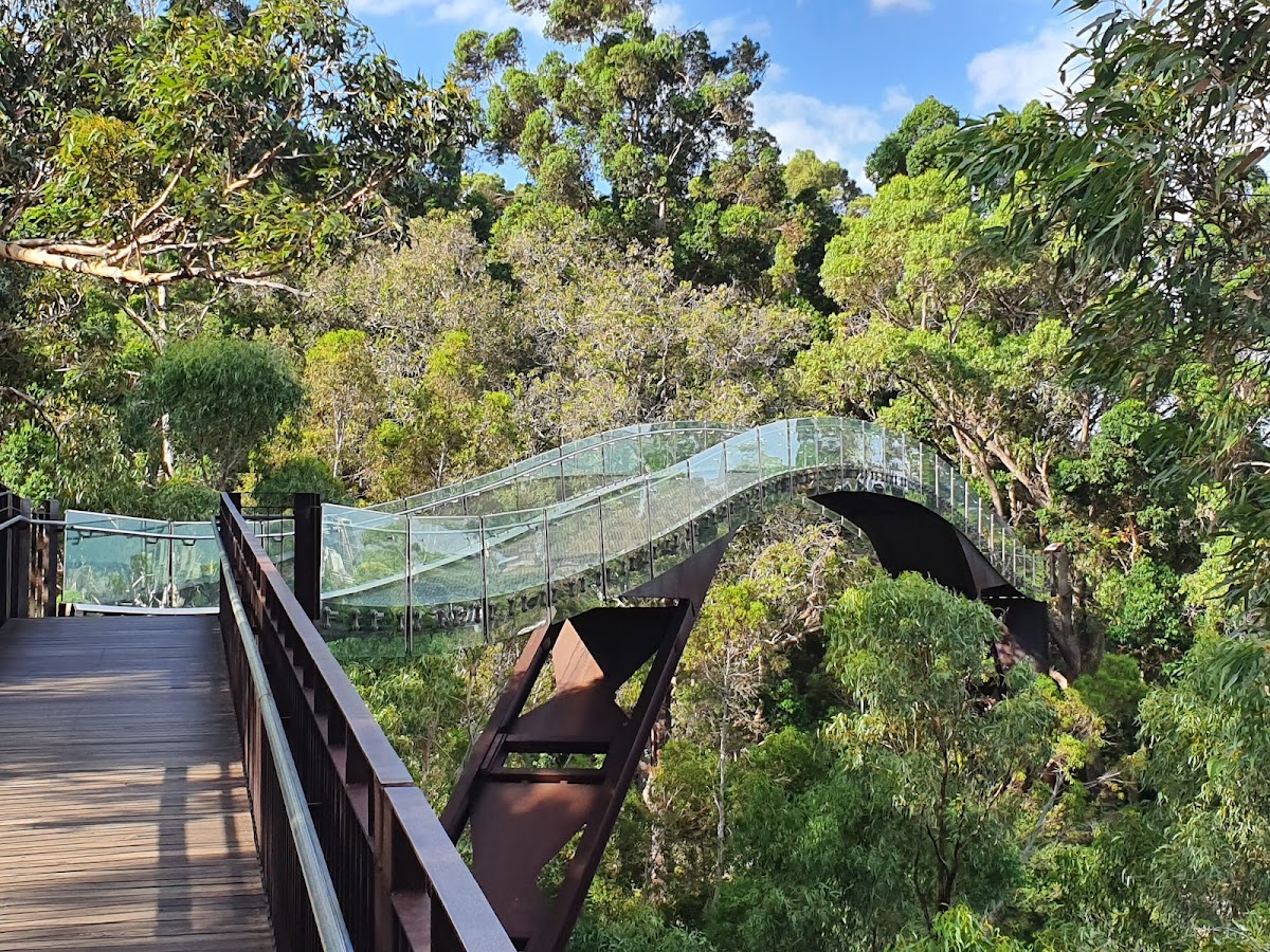 Kings Park and Botanic Garden, Perth