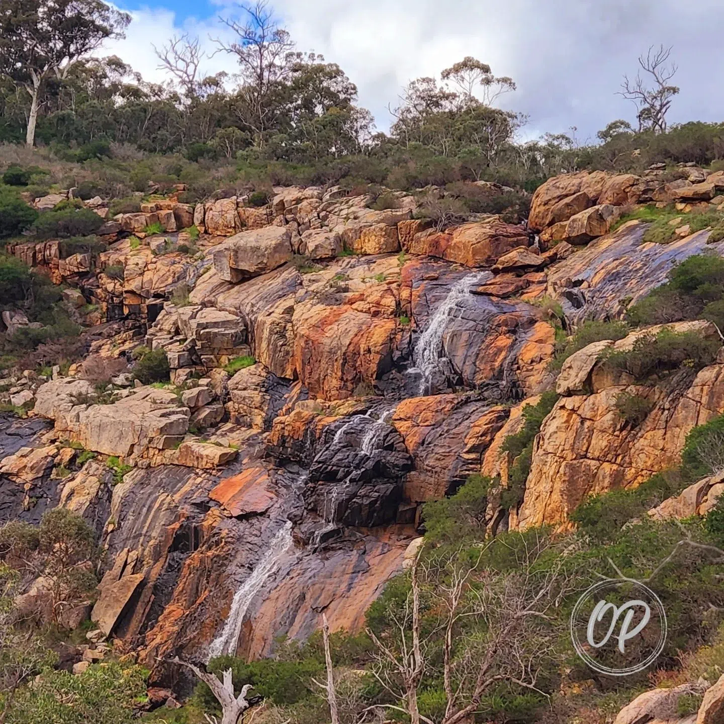 Ellis Brook Valley Reserve, Perth
