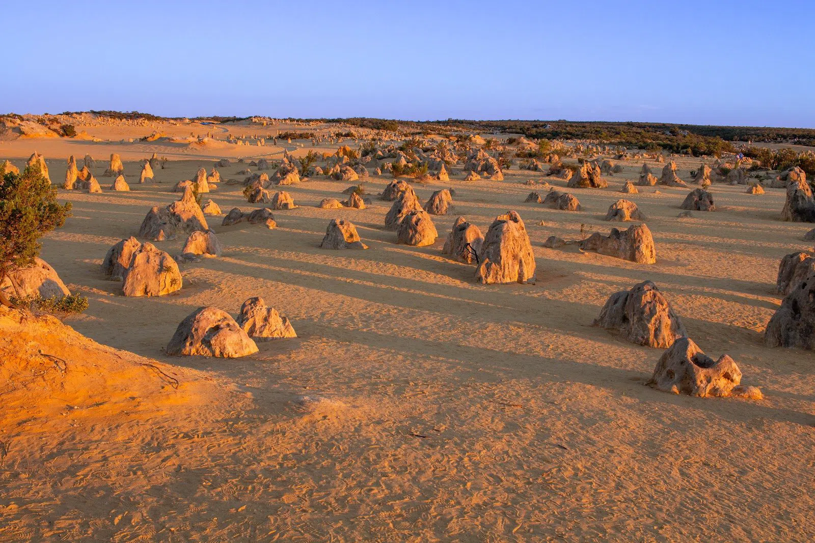 Lumineer Adventure Tours, Perth