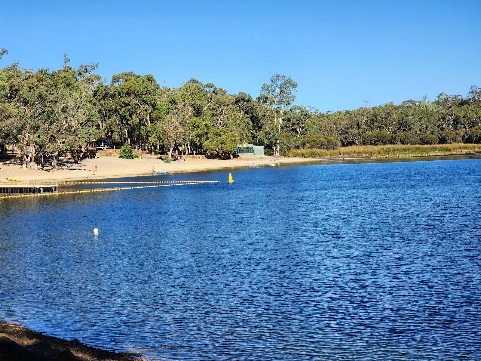 Lake Leschenaultia, Perth