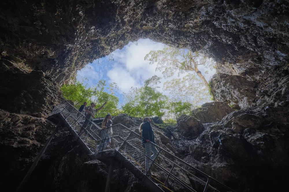 Margaret River Caves and Spring Vines on a Day Trip from Perth